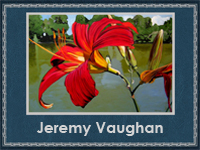 Jeremy Vaughan